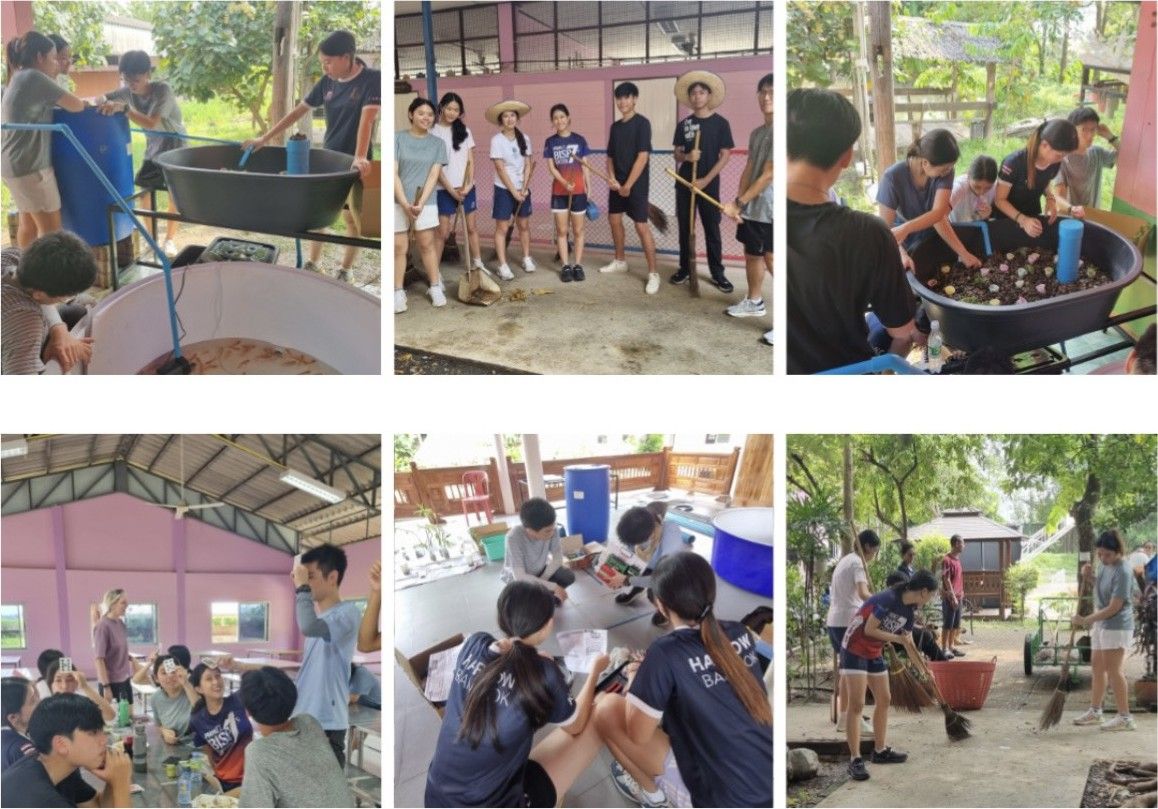 Building the aquaponic system, cleaning the site and planning with the team